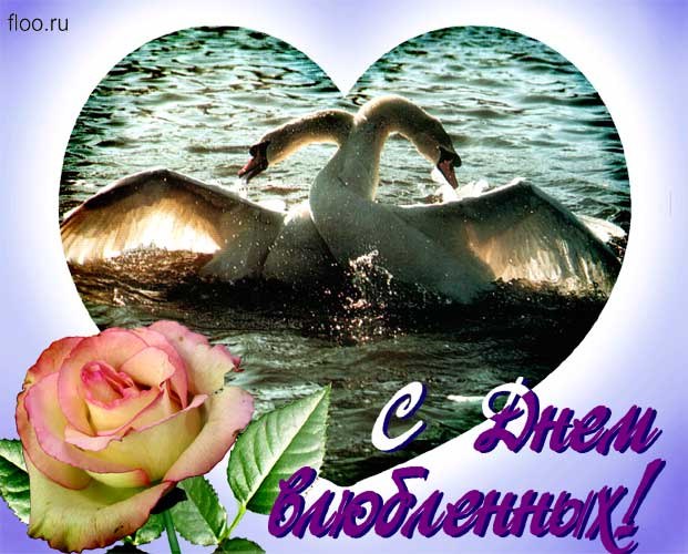 Вера Кондакова 