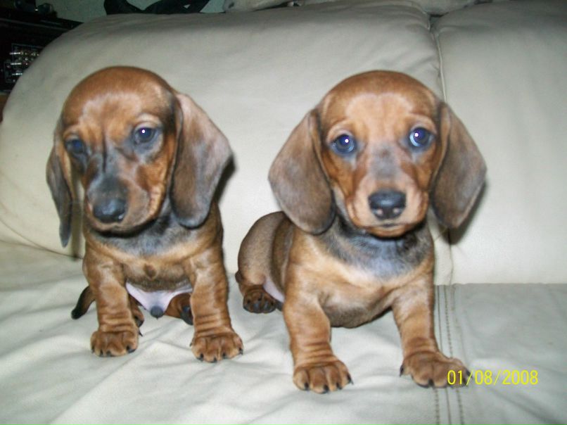 Наталия Судиловская | Санкт-Петербург
