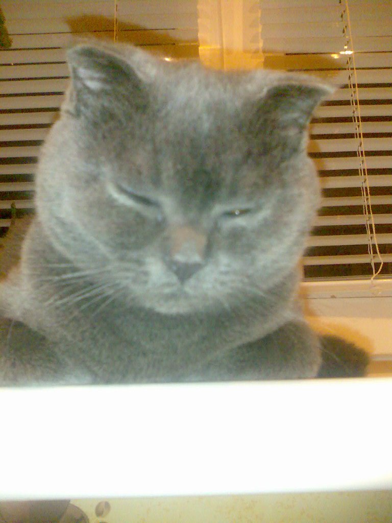 Яна Полях | Запорожье