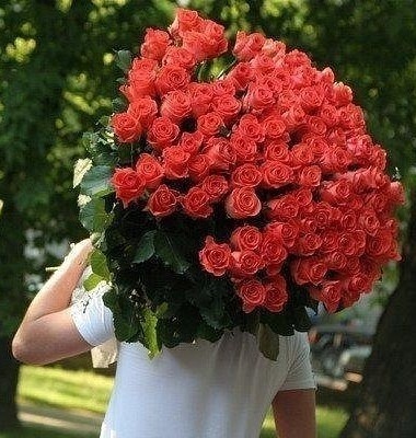 №147, Оленька Мурмыло №147, Оленька Мурмыло