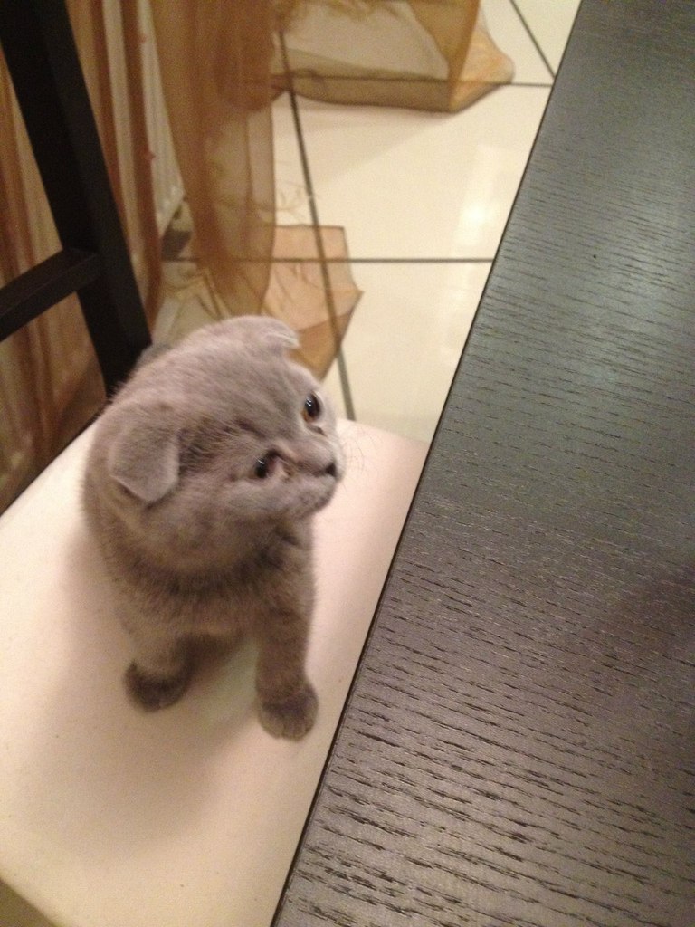 Андрей Выскубин | Волгоград