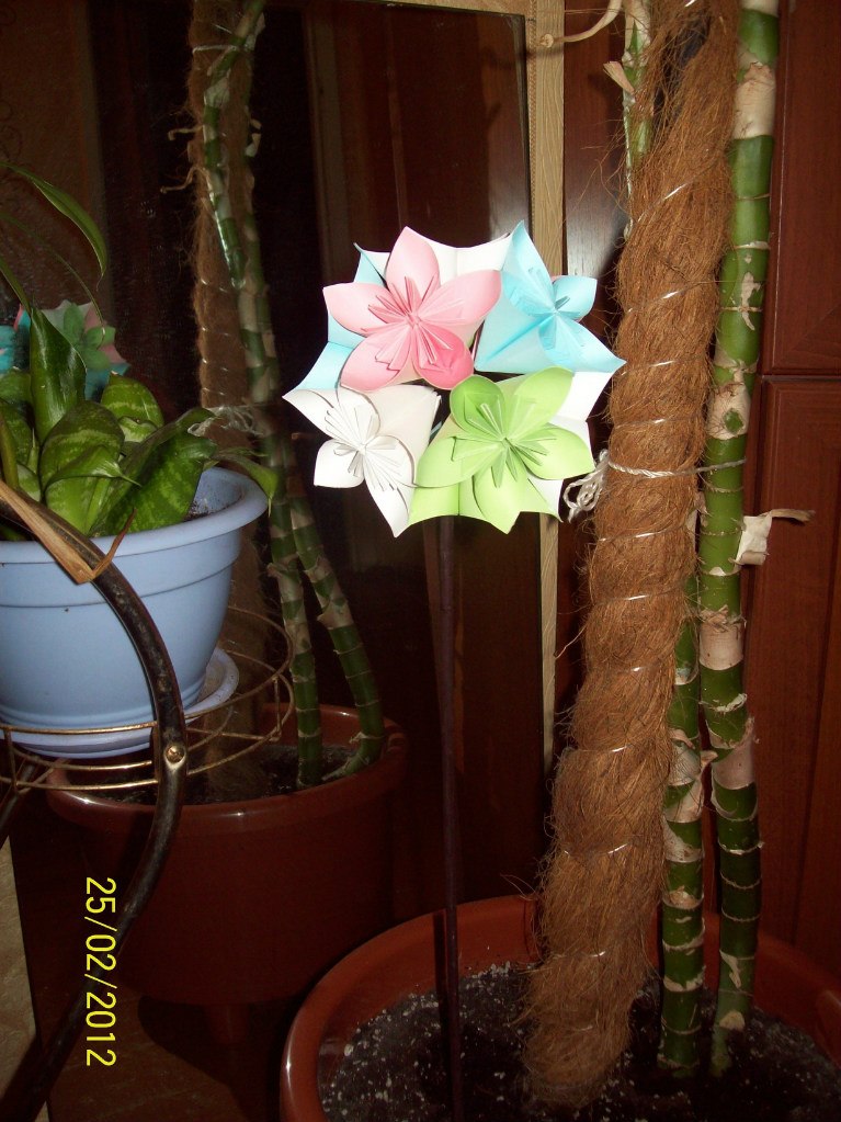 Люба Бучнева | Сыктывкар