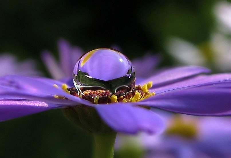 Наталья Мискевич | Евпатория