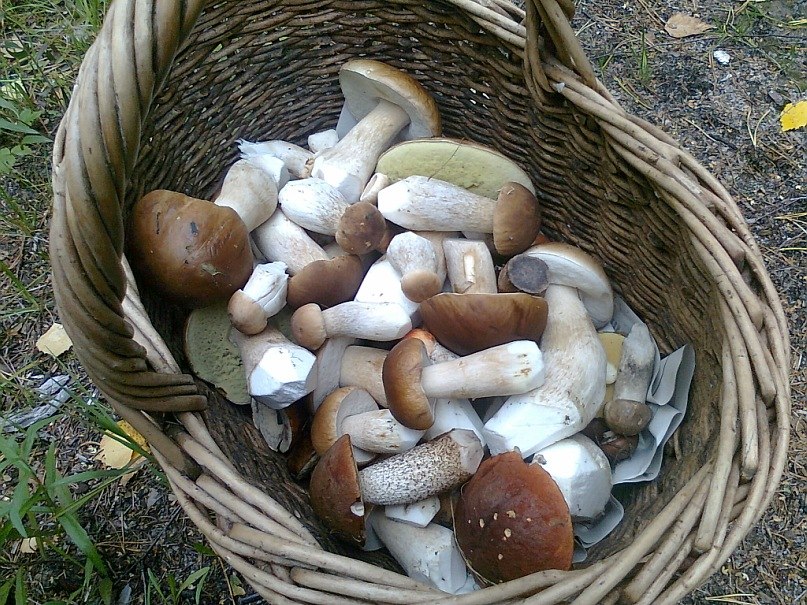 Павел Смирнов | Нея