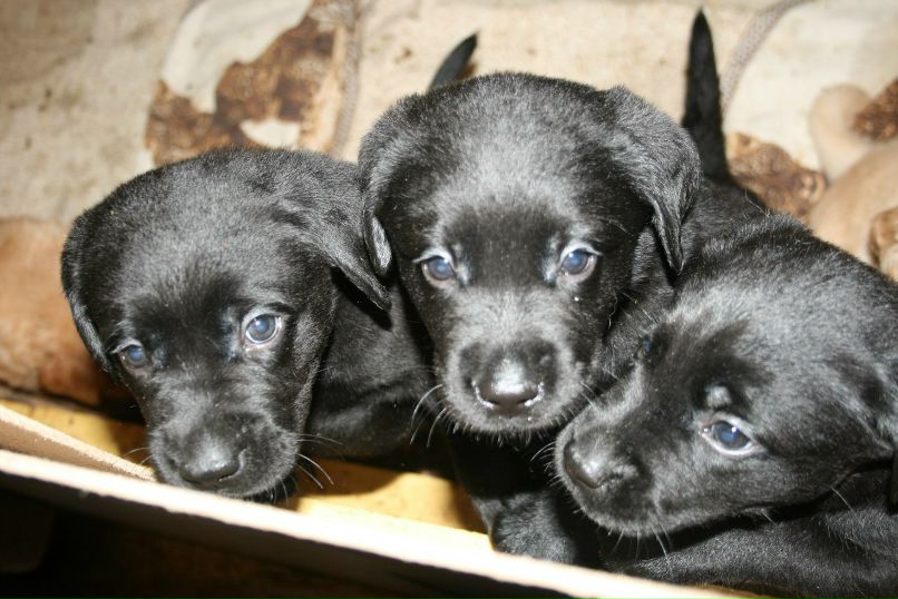 Надежда Ярмолович | Ярославль