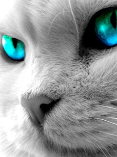 Анна Мехонцева фото профиля #6