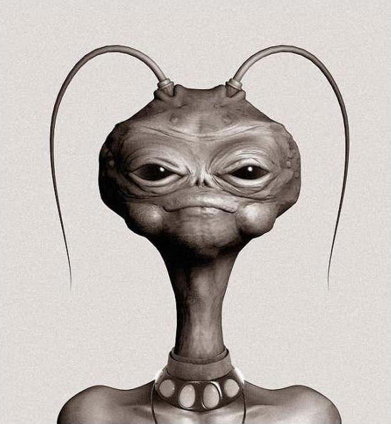 №2, Li Averi №2, Li Averi