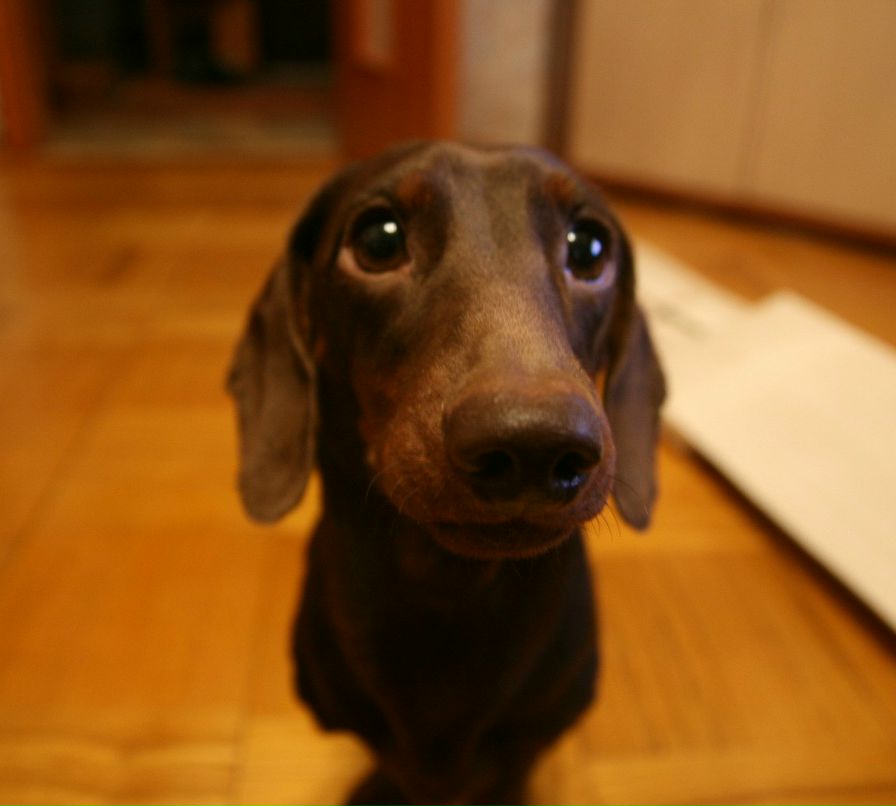 Катюшка Городнюк | Москва