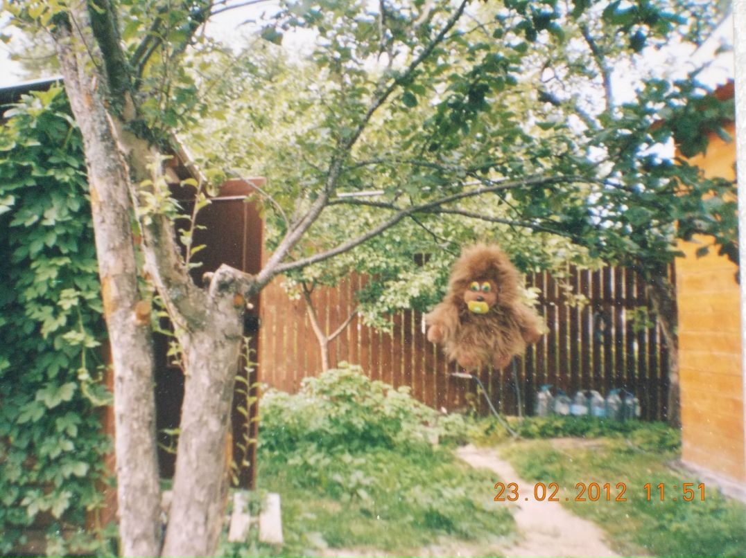 Галина Севрюгина | Санкт-Петербург