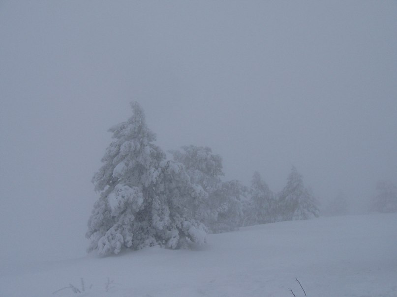 Игорь Нечитайлов | Севастополь