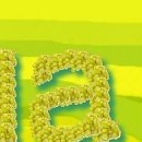 №113, Вітя Глушук, Луцк №113, Вітя Глушук, Луцк