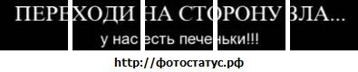 №89, Санек Семёнов, 35 лет, Тольятти №89, Санек Семёнов, 35 лет, Тольятти