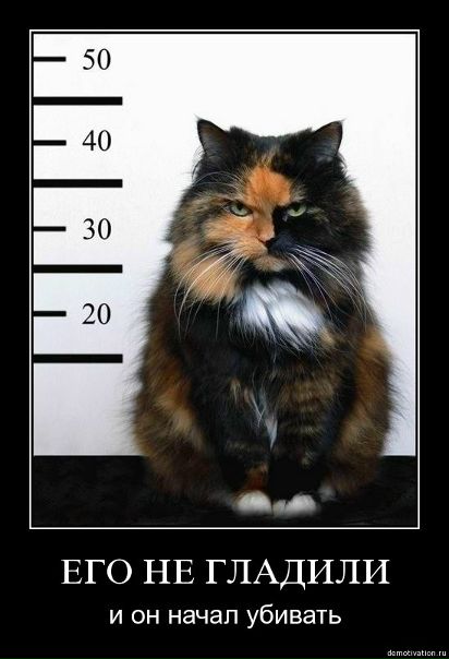 №70, Александр Москалёв, Мелитополь №70, Александр Москалёв, Мелитополь