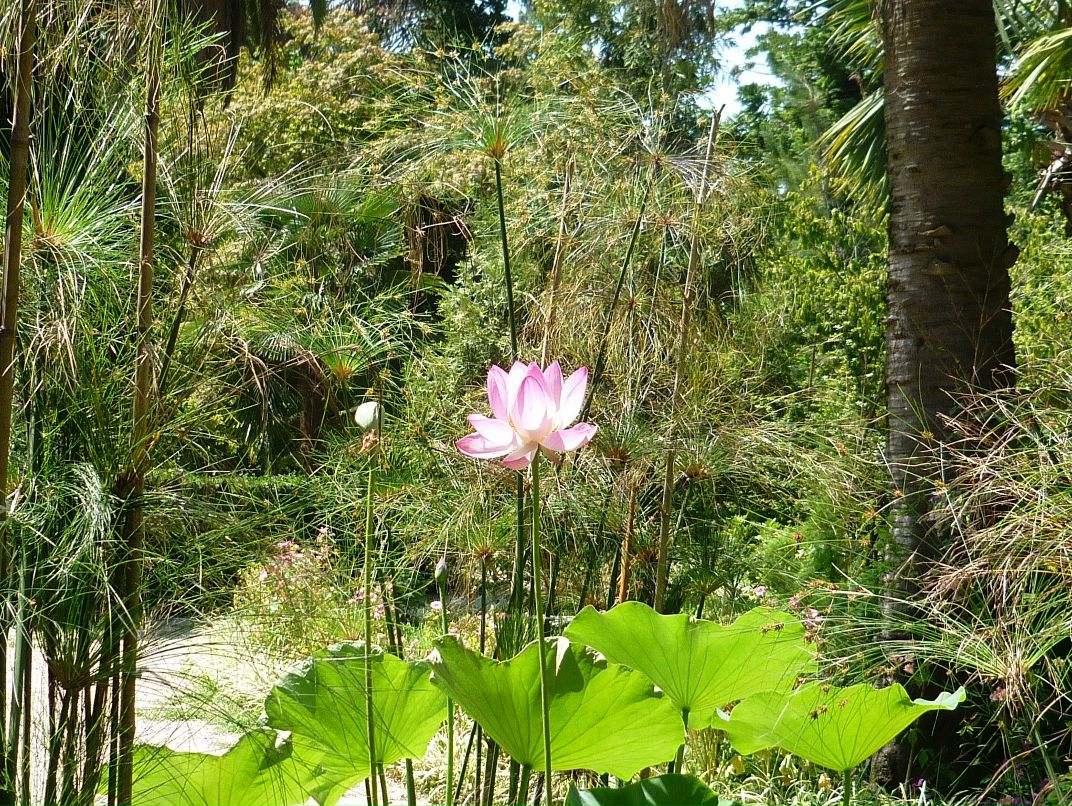 Вероника Золотухина | Красноярск