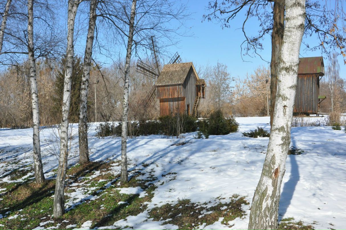 Трофим Трофимов | Киев