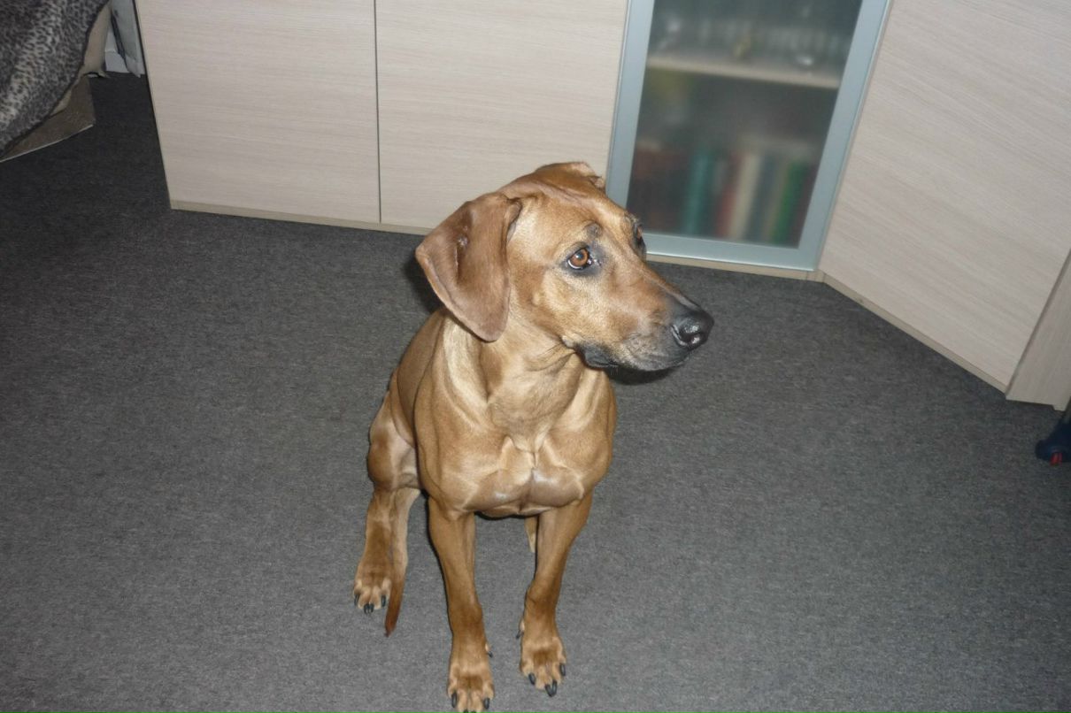 Нелли Салихова | Москва