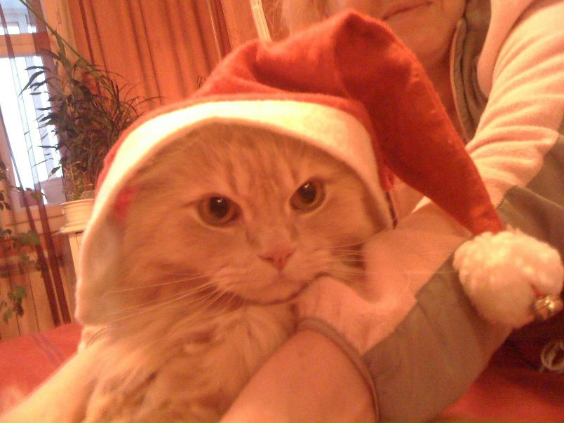 №9, Станислав Шока, 40 лет, Санкт-Петербург, Россия №9, Станислав Шока, 40 лет, Санкт-Петербург, Россия