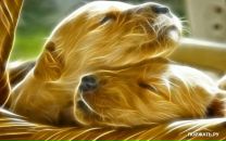 №3 Карина Чернышова : профиль, фото, статус - ВКонтакте