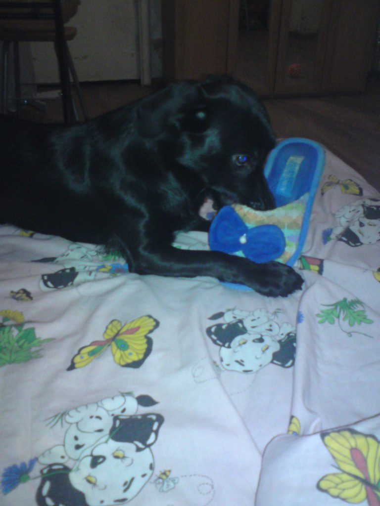 Анастасия Фролова ♥♥♥ | Москва