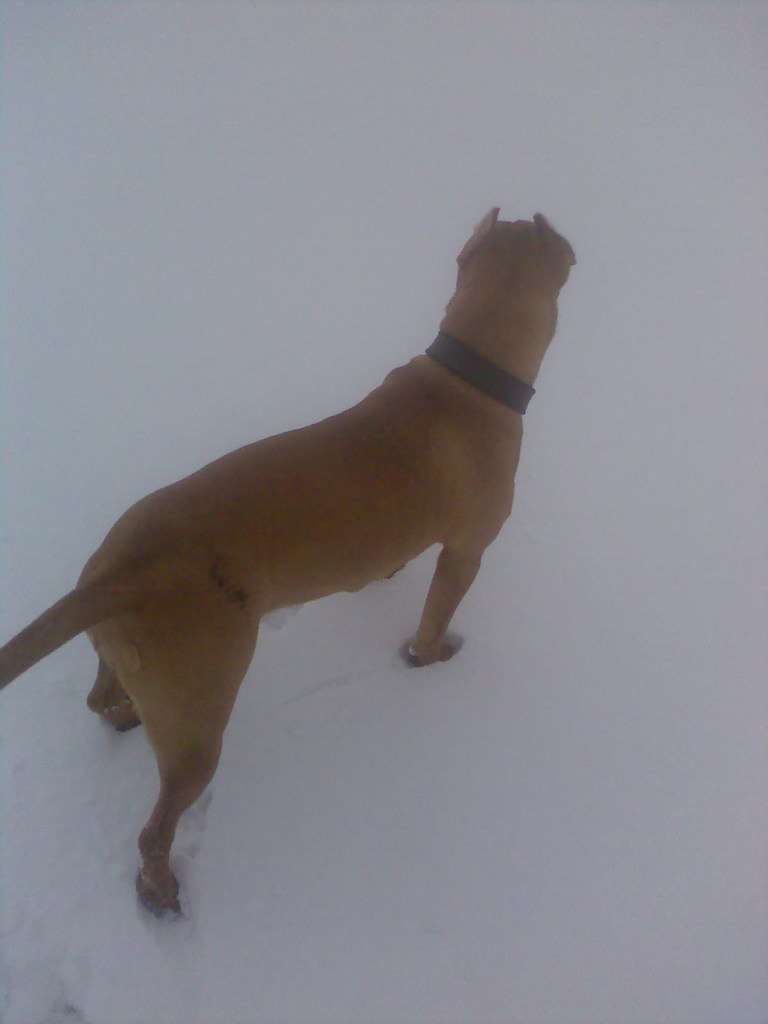 Слава Манжос | Харьков