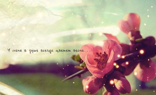 Ксюшка Киселёва | Вологда