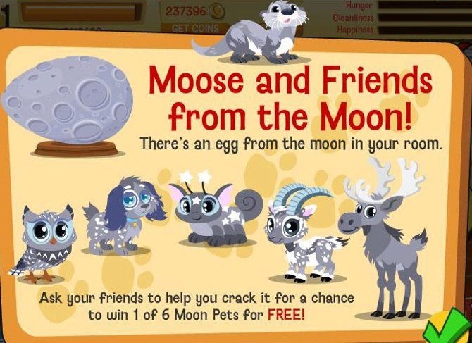 Марго Вайс | Санкт-Петербург