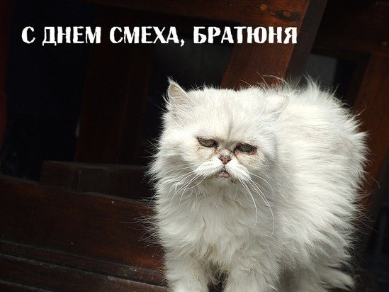 №100, Владислава Коплык, Сумы №100, Владислава Коплык, Сумы