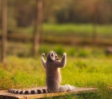 Ремзи Гутту | Самара