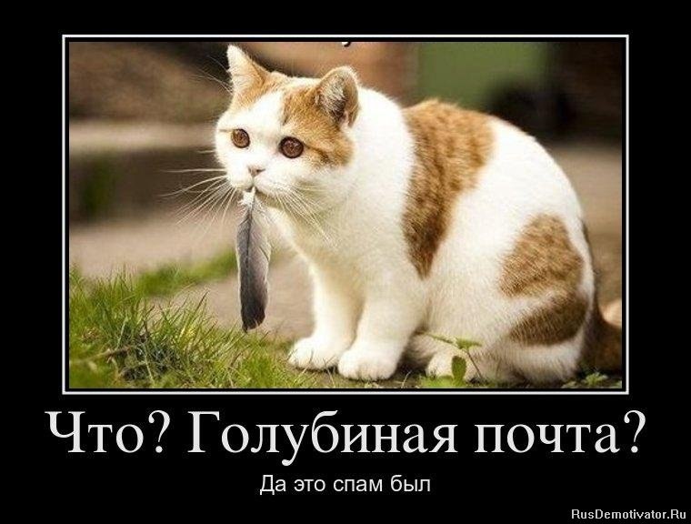 Андрюха Санников | Йошкар-Ола