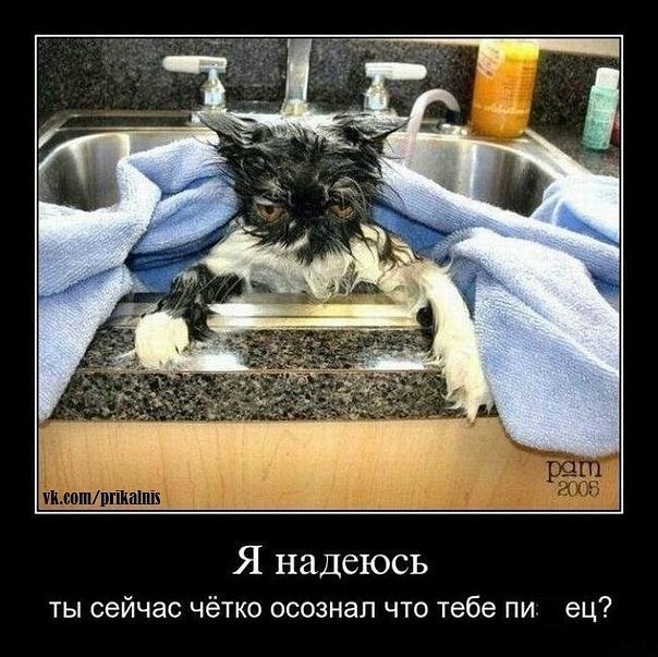 Артур Кондратенко | 