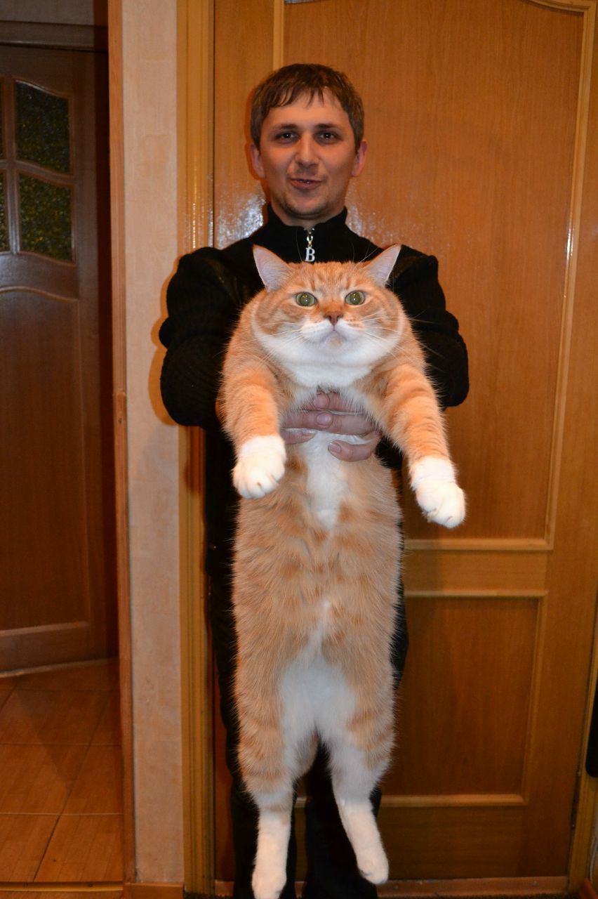 Владимир Гергель | Санкт-Петербург