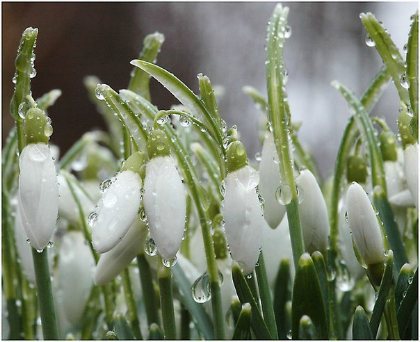 Юлия Обухова TUTILKA | Одесса