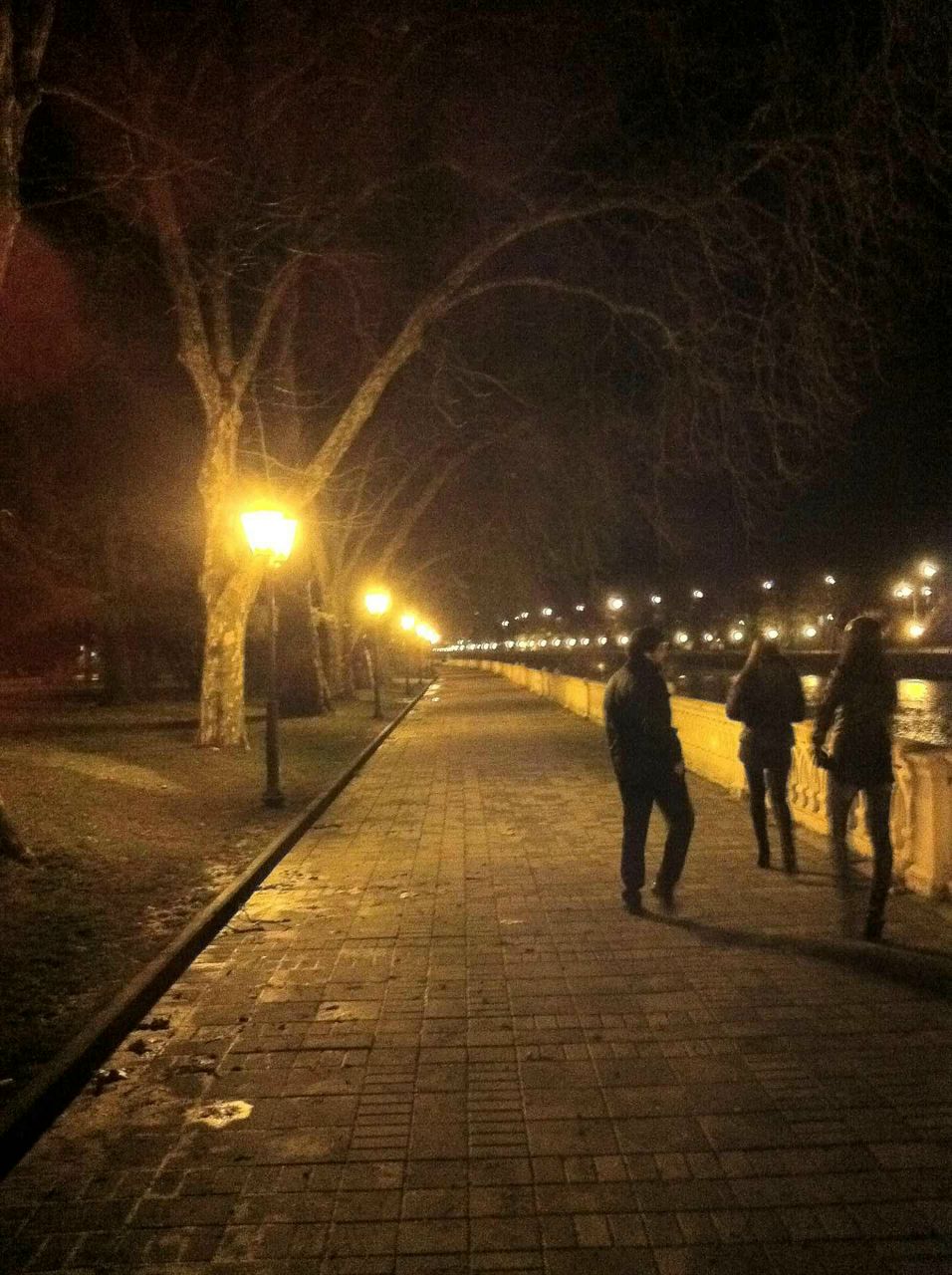 Дмитрий Третенко | Сочи