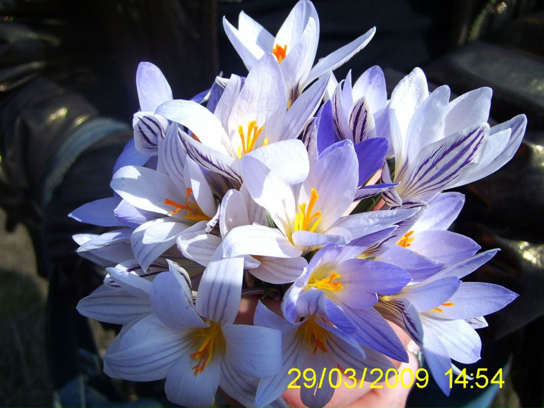 Олеся Семенец | Киев