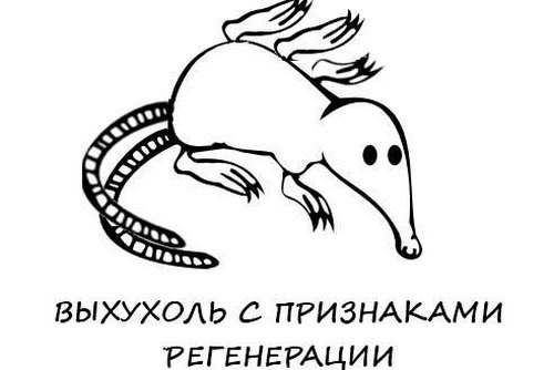 №49, Николай Щербатей, Васильков №49, Николай Щербатей, Васильков