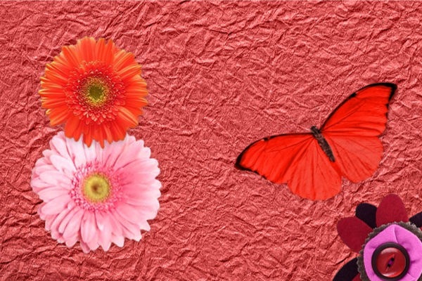 №103, Катерина Завальнюк, 38 лет, Нежин №103, Катерина Завальнюк, 38 лет, Нежин