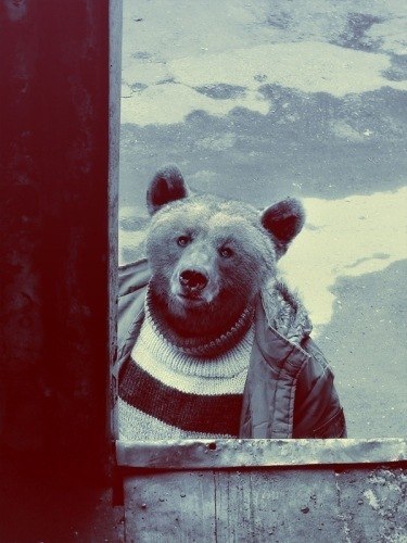 Молочный Феликс | Киев