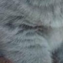 №49, Diana Toksanova, 42 года, Санкт-Петербург №49, Diana Toksanova, 42 года, Санкт-Петербург