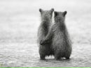 №25 Диана Тимченко 12.04.1988: профиль, фото, статус - ВКонтакте