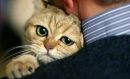 №24 Оксана Некрасова : профиль, фото, статус - ВКонтакте