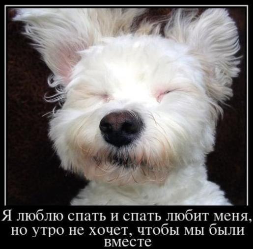 Виктория Дементьевская | Новороссийск