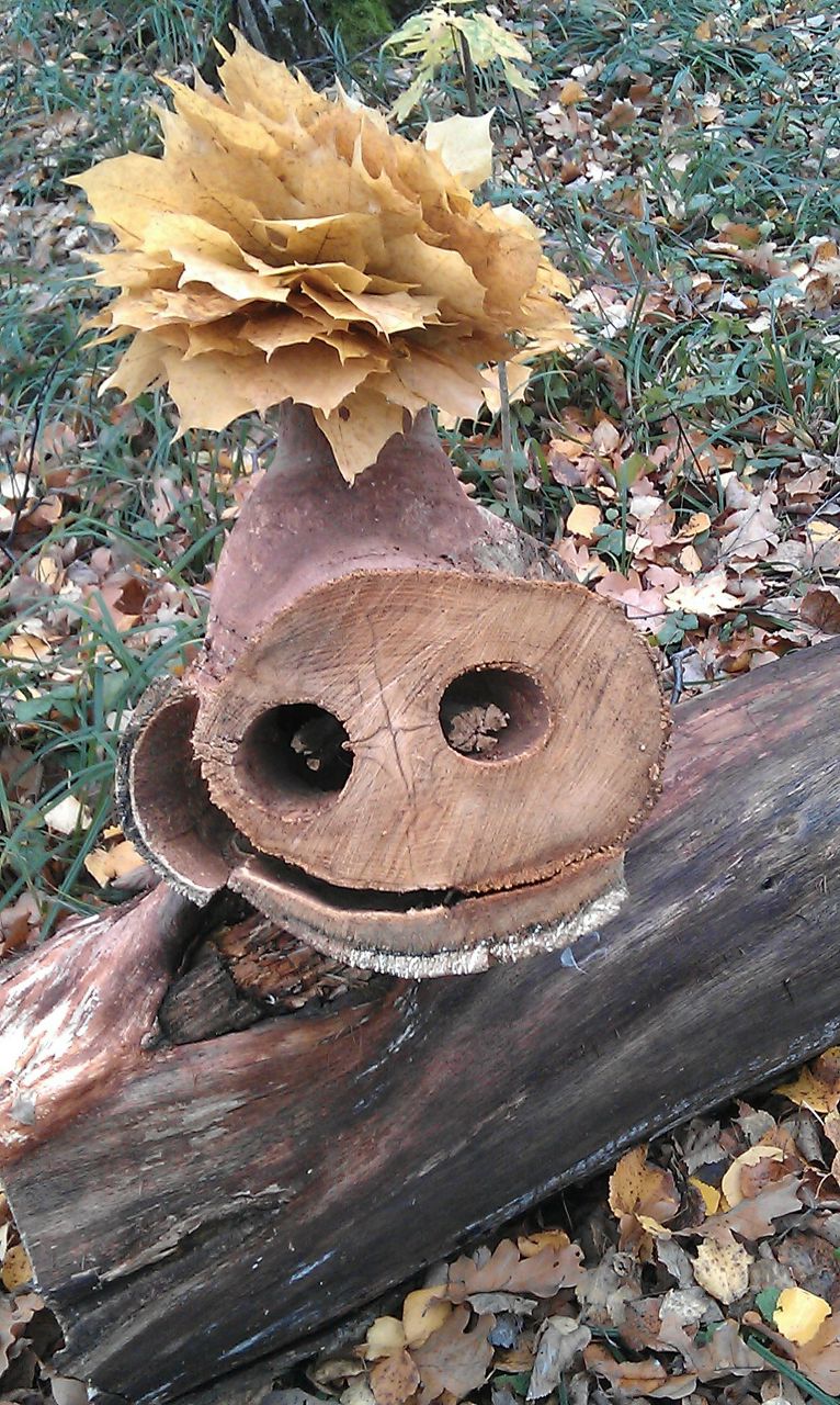 Ольга Михейкина-Фастовская | Москва