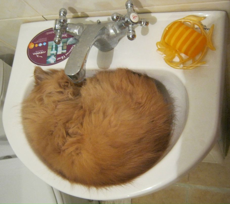 Евгения Суяргулова | Пивденное