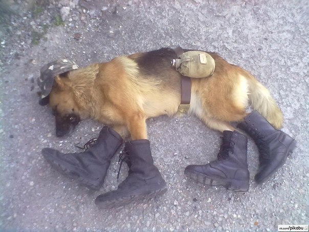 Игорь Кизилов | 