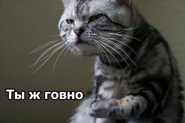 Макар Каменецький | Киев