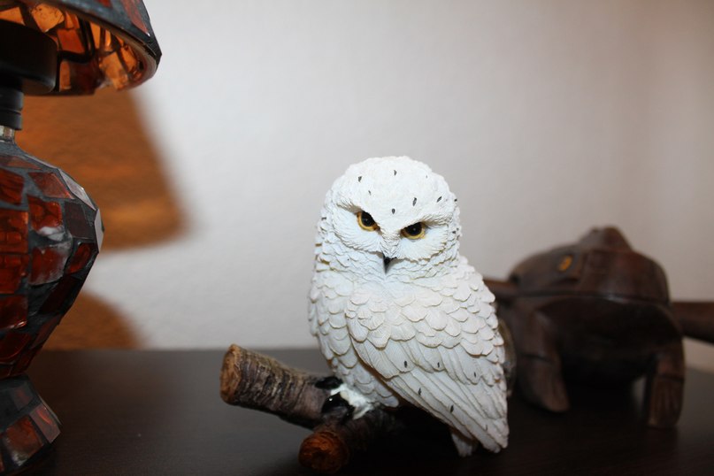 Иван Крузенштейн | Люберцы