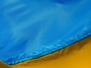 Фотография Закадр Вникадрович нитронутый