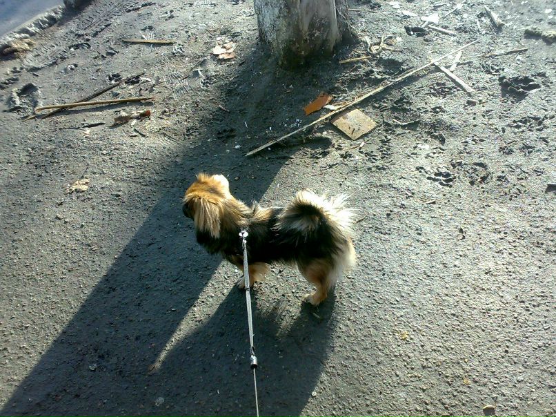 Валерий Кухар ✠DeMoN✠ | Одесса