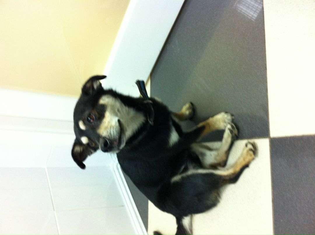 Анастасия Маркова | Екатеринбург