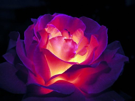 Анна Герасимова | Новое Андиберево